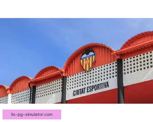 维尼修斯在美洲杯中多场展现决定性的重要作用引领巴西关键胜利
